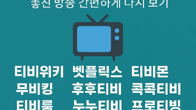무료티비 다시보기 사이트 추천